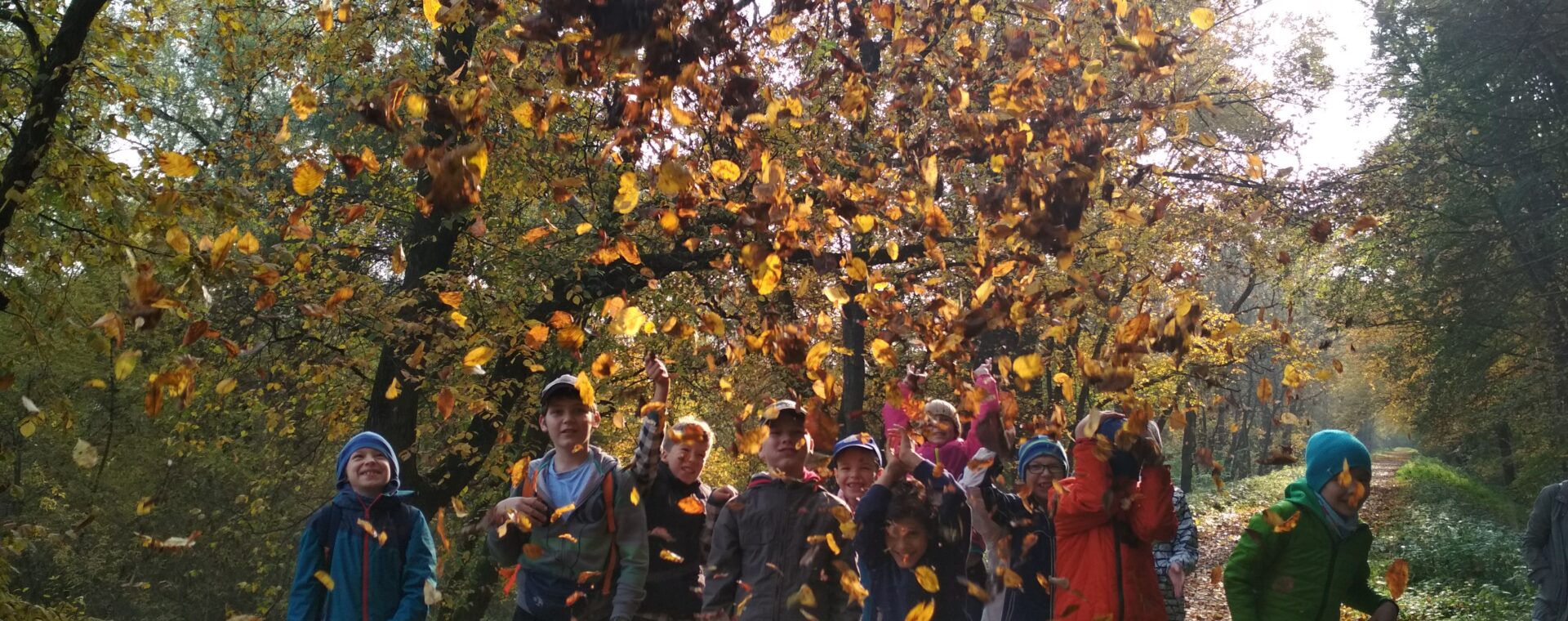 dzieci w lesie jesienią